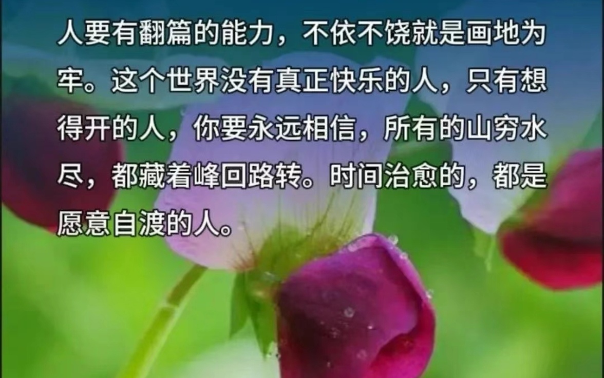 一念执着，万般皆苦