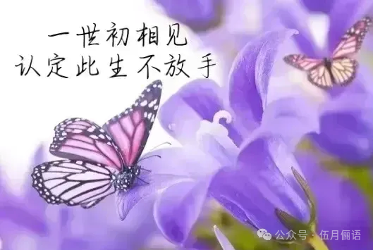 念你