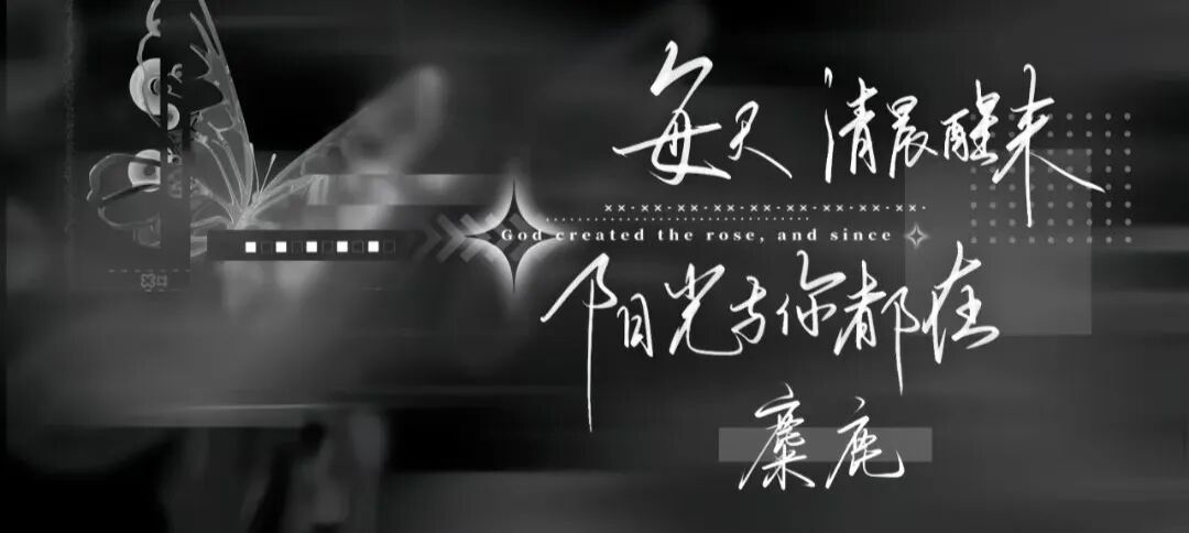 每天清晨醒来，阳光与你都在