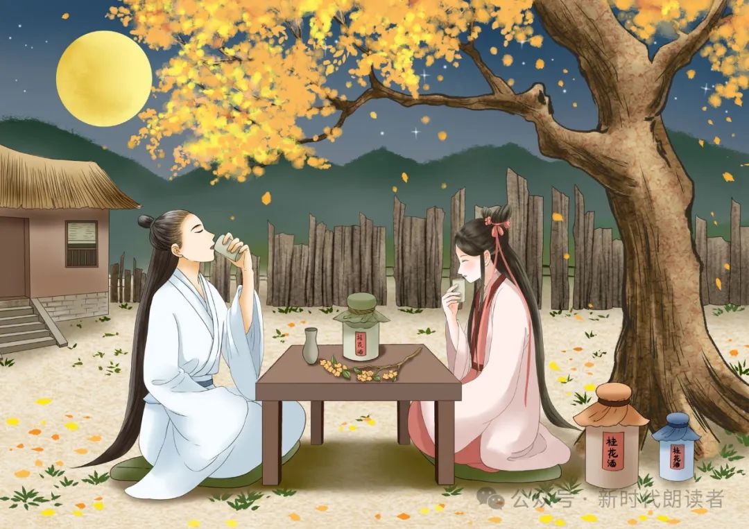 月桂树的愿望